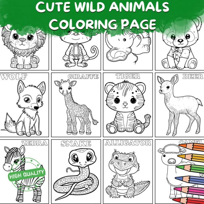 Coloring pictures of wild animals