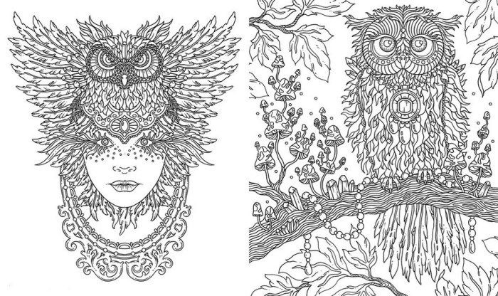 Spirit animals coloring book hanna karlzon