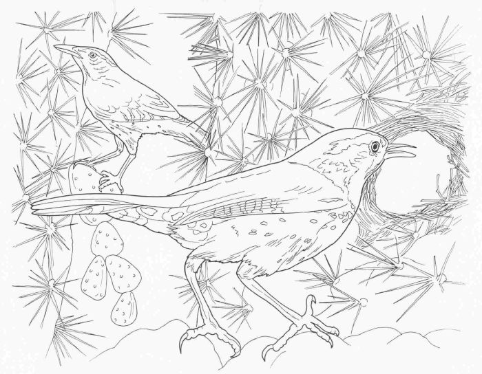 Animal complex coloring pages