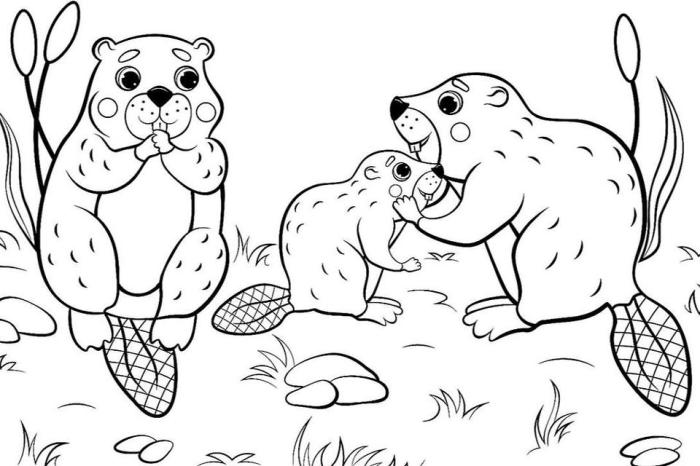 Free Animal Coloring Pages Fun for Everyone!