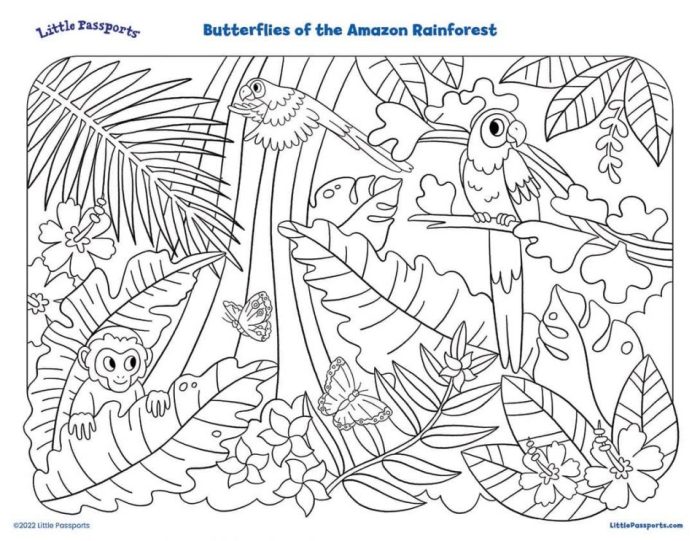 Animals of the rainforest coloring page