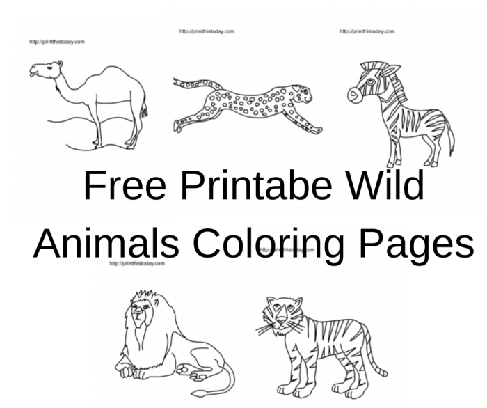 Wild Animal Coloring Pages Printable Unleash Your Inner Artist