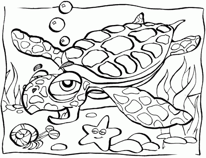 Animals of the sea coloring pages