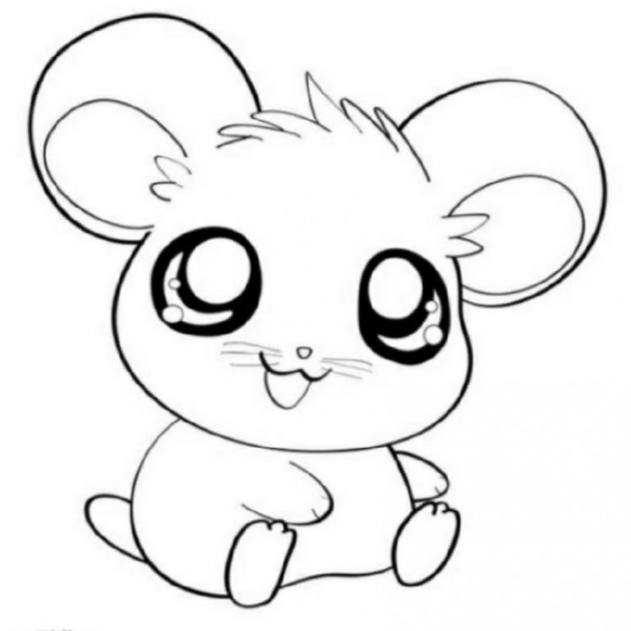 Draw so cute animal coloring pages