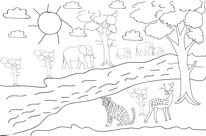 Animal in the forest coloring page