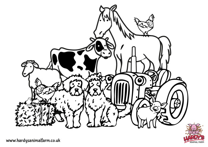 Farm animals coloring pages cartoon