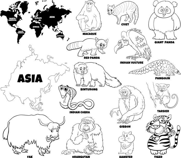 Animals of asia coloring