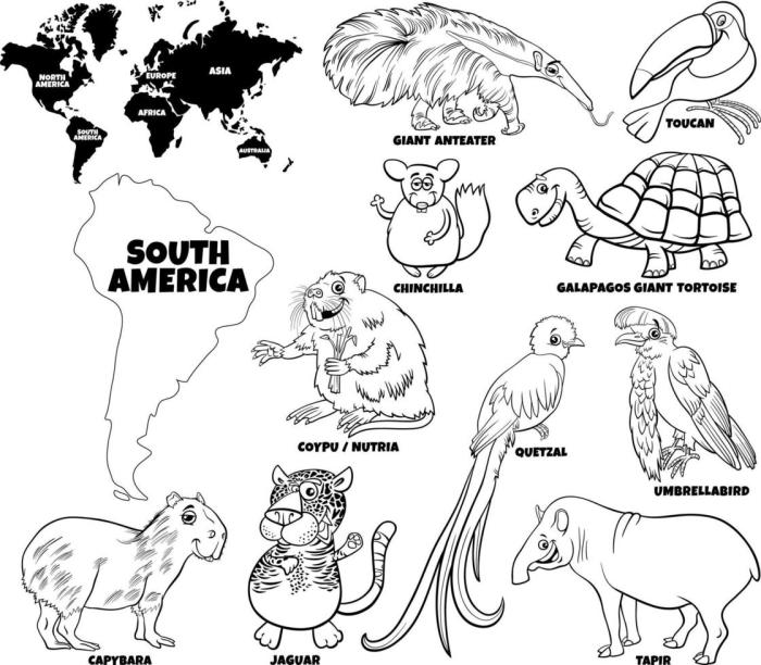 South america animals coloring pages