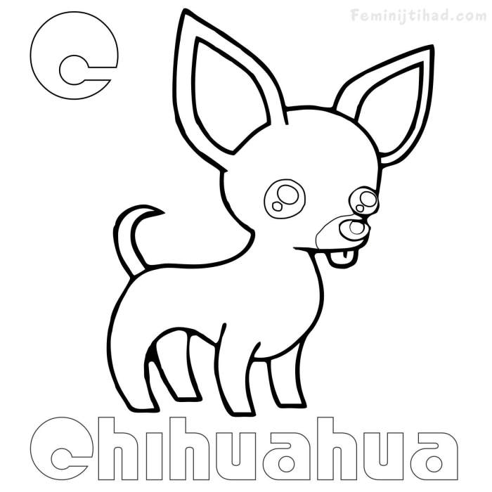 Animated coloring sheets of chiwawas