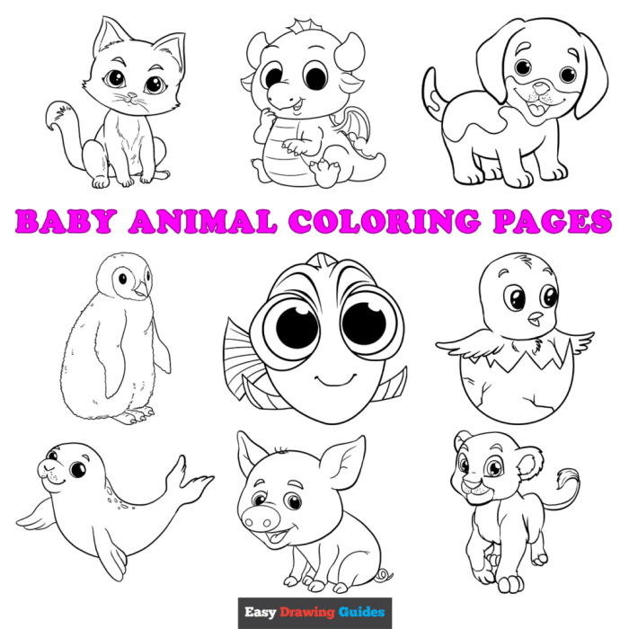 Animal Coloring Pictures for Preschoolers