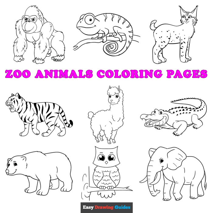 Free Animals Coloring Sheets Fun & Educational