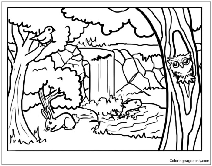 Coniferous Forest Animals Coloring Page