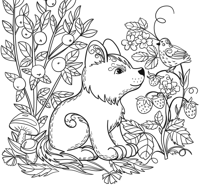 Enchanted learning animal coloring