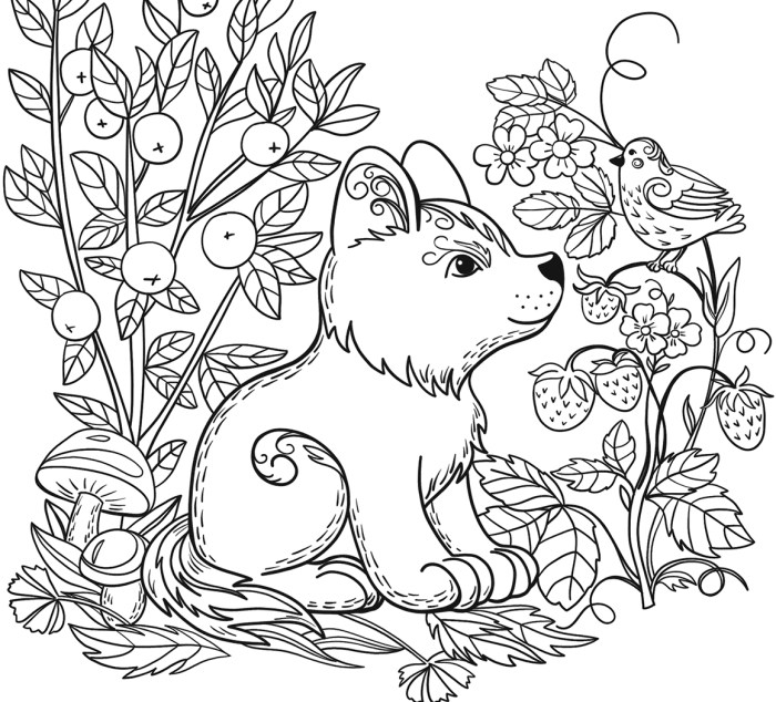 Animal coloring pages educational