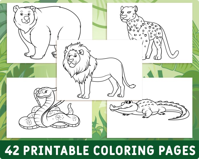 Coloring pictures of wild animals