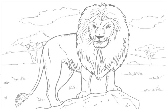 Dangerous animals coloring pages