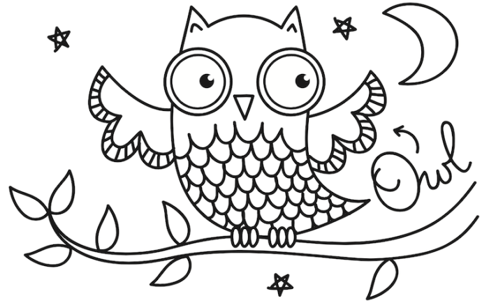 Nocturnal Animal Coloring Sheet Get Creative!