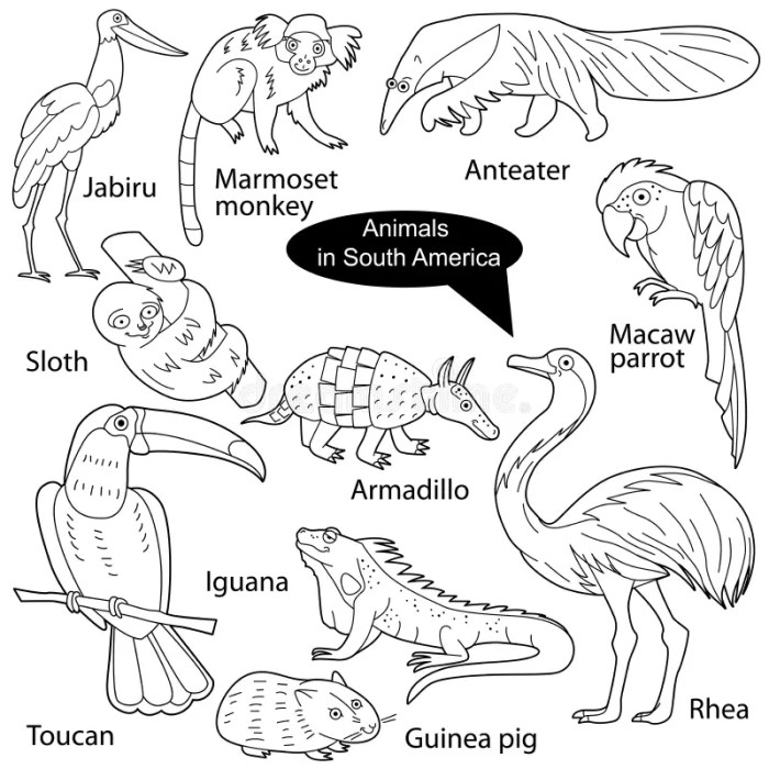 South america animals coloring pages