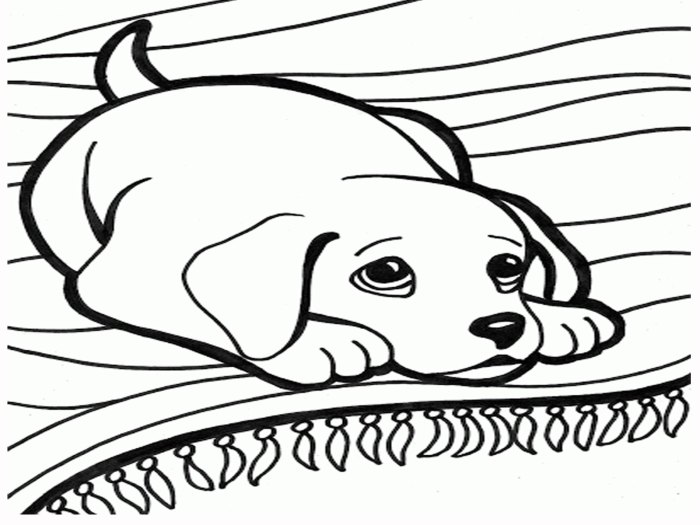 Coloring Sheets Animals Small Dog A Paw-some Guide