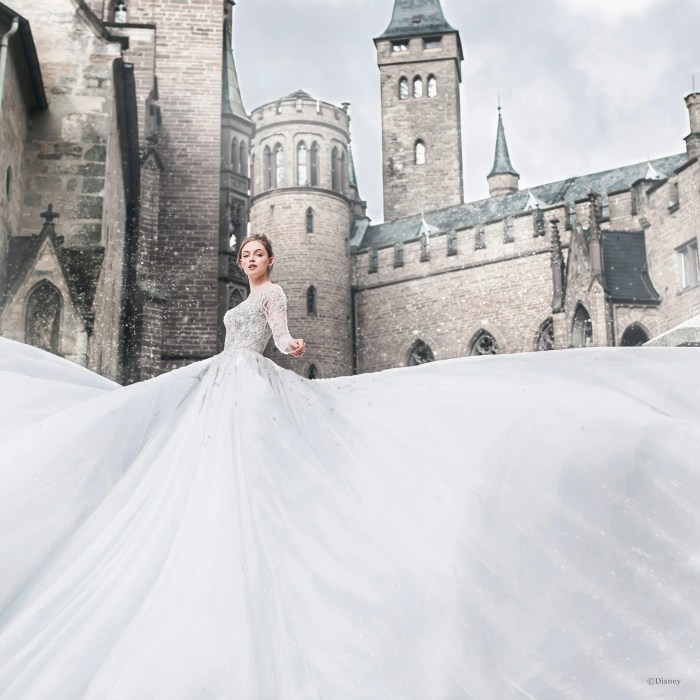 Disney princess wedding dress