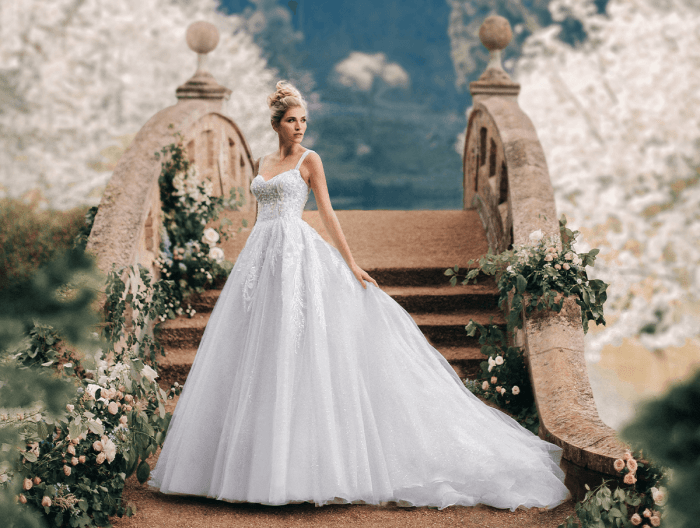 Fairy tale wedding dress